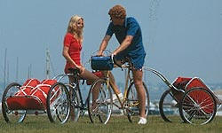 Cannondale Bugger
